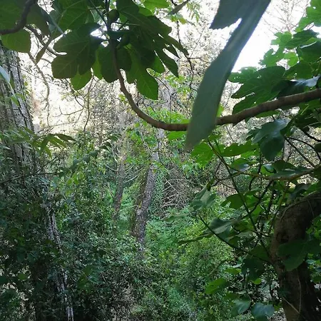 Fonte Degna - E Sito Storico Citerna