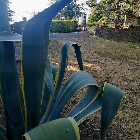 Fonte Degna - E Sito Storico Lodge