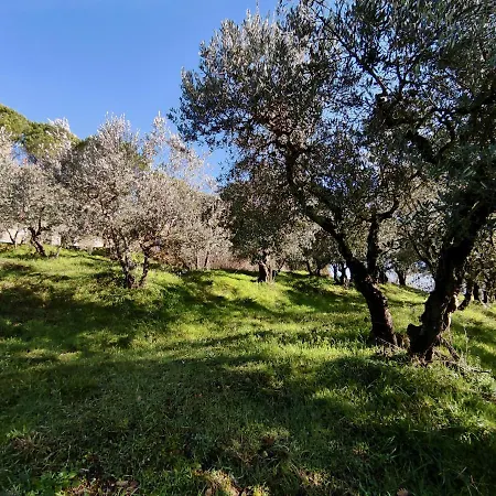 Fonte Degna - E Sito Storico Lodge Citerna