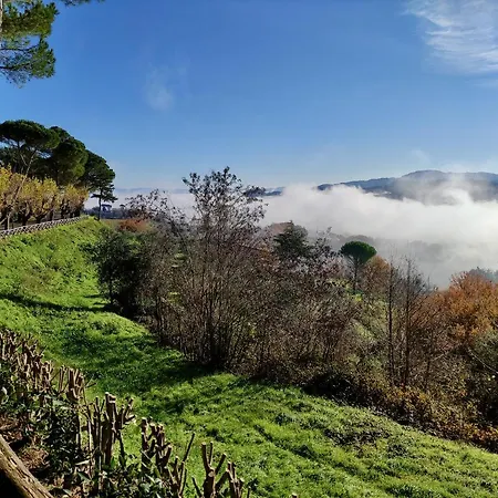 Fonte Degna - E Sito Storico ロッジ Citerna