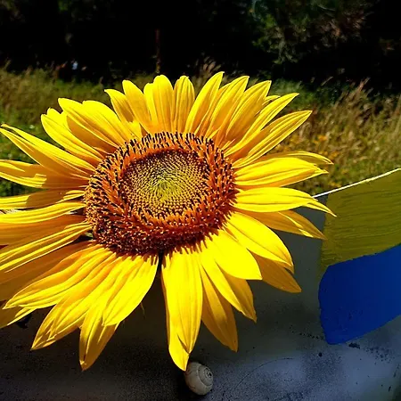 Fonte Degna - E Sito Storico * Citerna