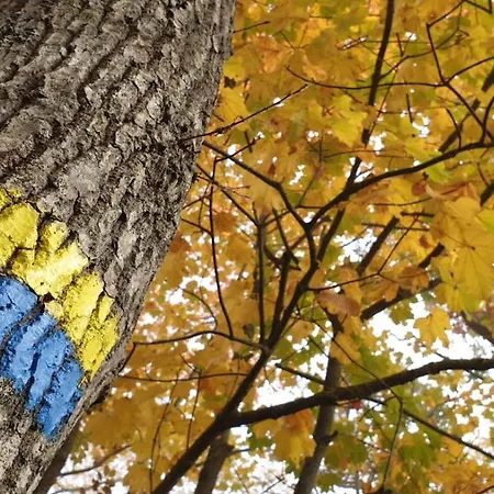 Fonte Degna - E Sito Storico *