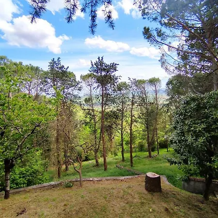 Fonte Degna - E Sito Storico ロッジ *