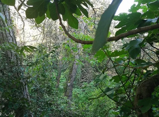 Fonte Degna - E Sito Storico Citerna