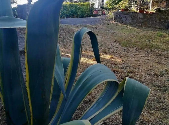 Fonte Degna - E Sito Storico بيت خشبي