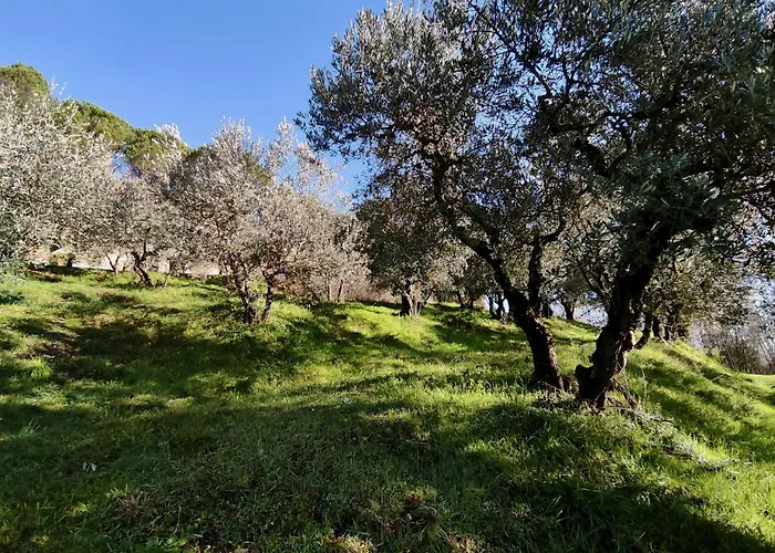 Fonte Degna - E Sito Storico Lodge Citerna