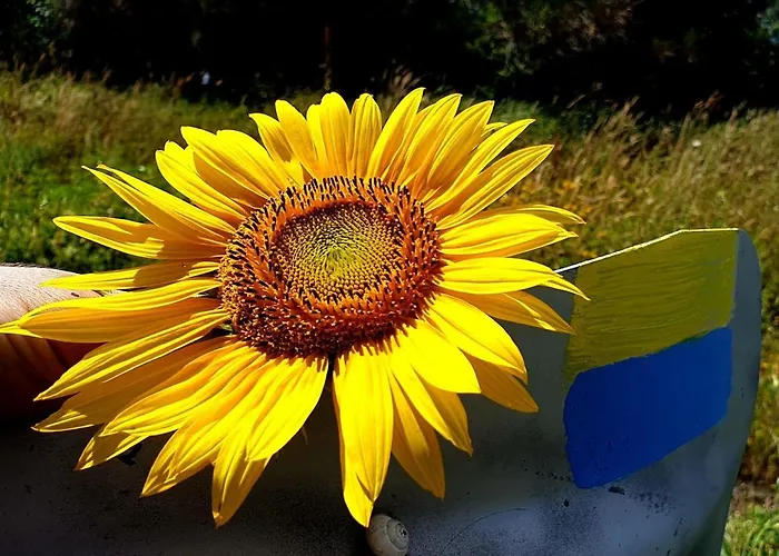 Fonte Degna - E Sito Storico * Citerna