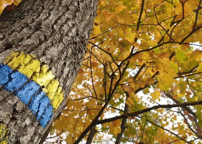 Fonte Degna - E Sito Storico *